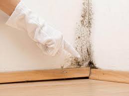 Best Emergency Mold Remediation in Cleveland, OK